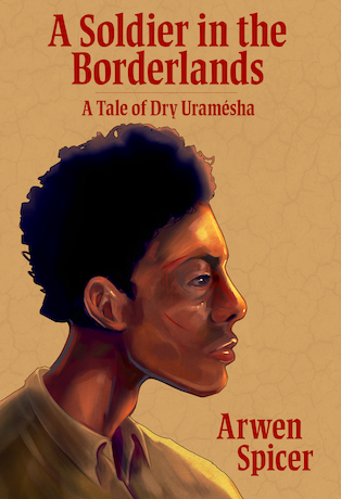 Exterior photo of A Soldier in the Borderlands book cover